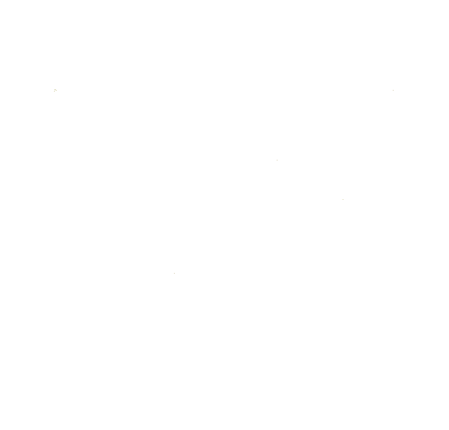 MT